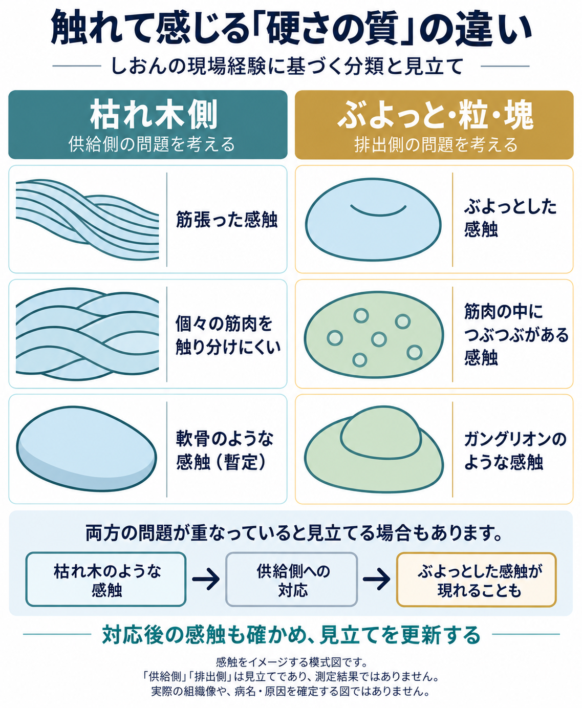 触れて感じる硬さの質の違い